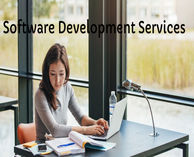 Software-Development-Services-company-delhi-noida-lucknow-DMPS